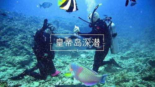 宝钢包装涨停